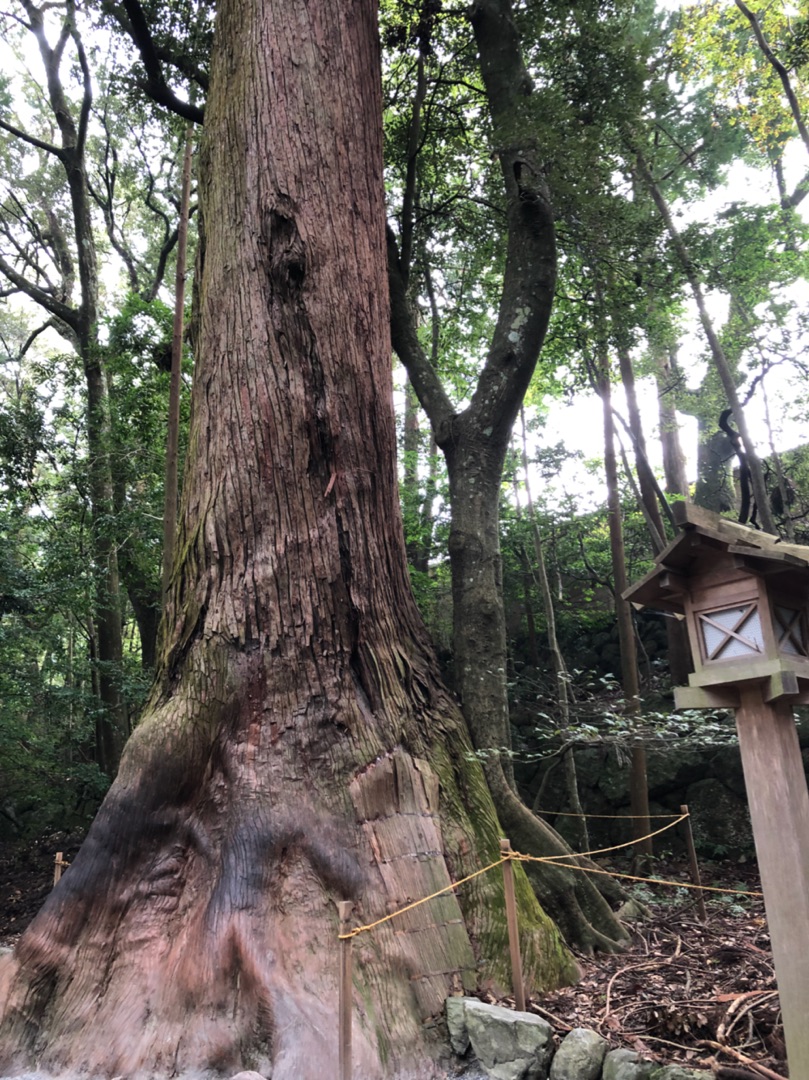 夫の不倫。あなたにふさわしい道に辿り着く