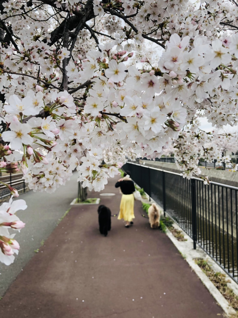 「自分の足で立ち、これからの人生進んで行きたい」