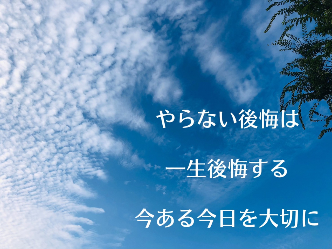 自由な選択をするために必要不可欠なもの