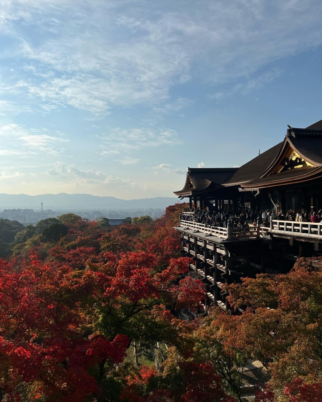 立花凛　京都