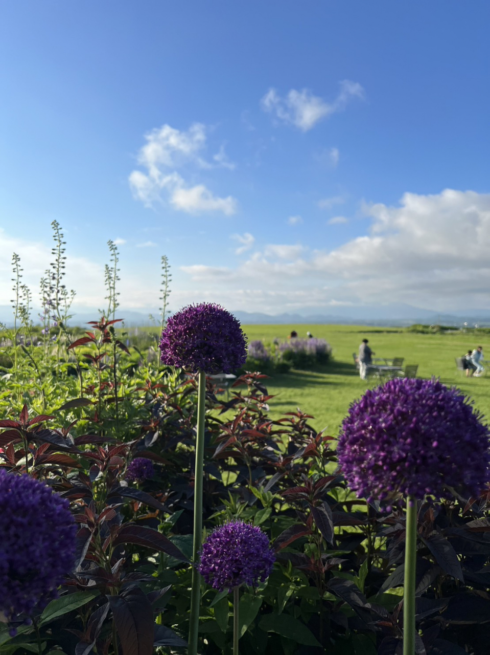 立花凛北海道