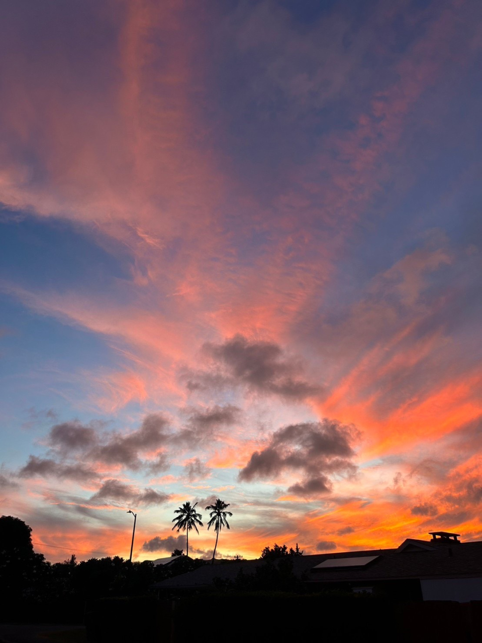 立花凛夕焼け