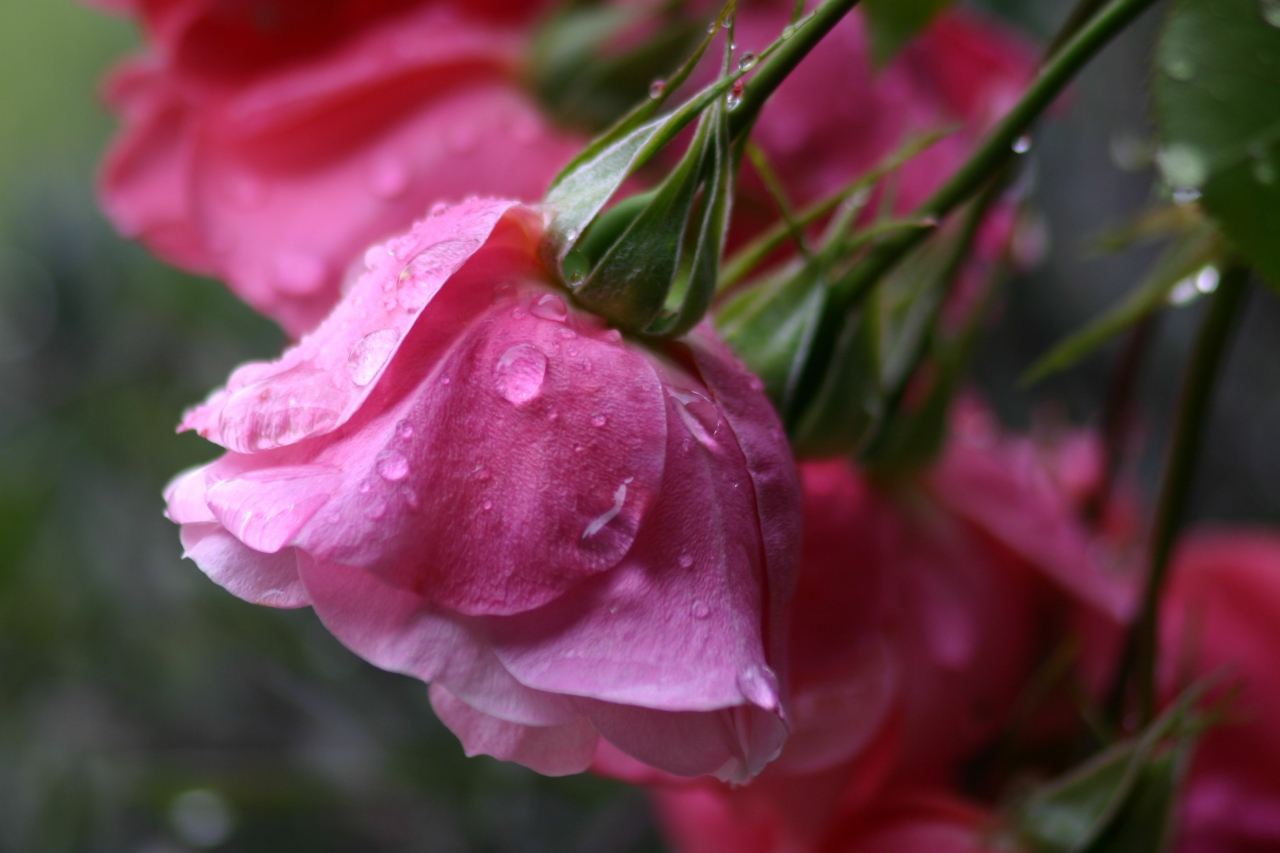 夫の不倫があっても心豊かで幸せな50代、60代を過ごしたくないですか？